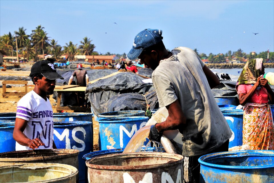 Work a fishing village boiling hot