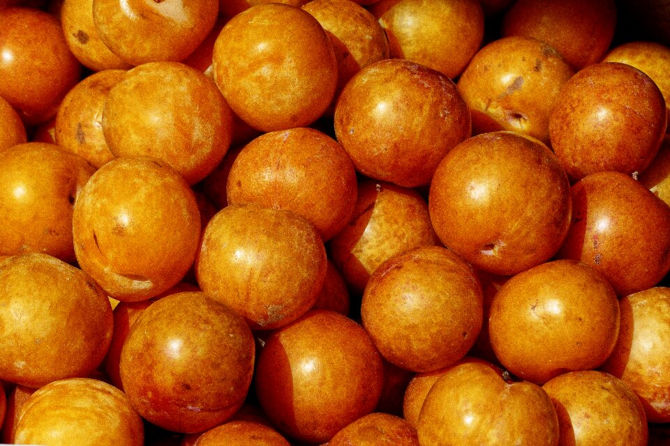 Prunus armeniaca malete market