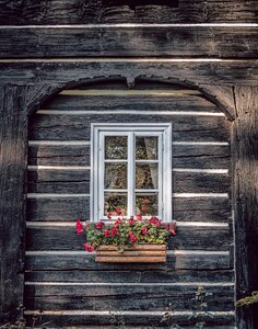 Woods door architecture