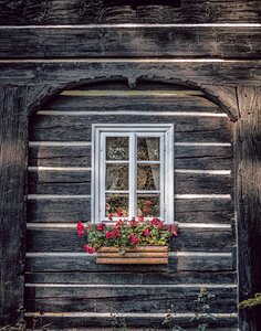 Woods door architecture photo