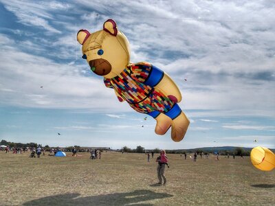 Dragon kite flying meadow