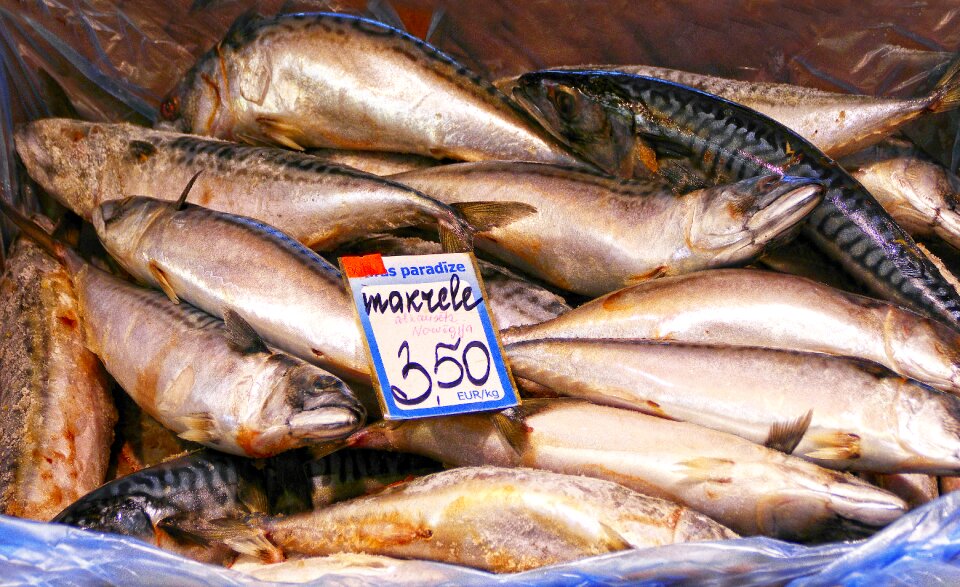 Market stall fresh fish stand photo