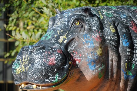 Animal plastic hippo