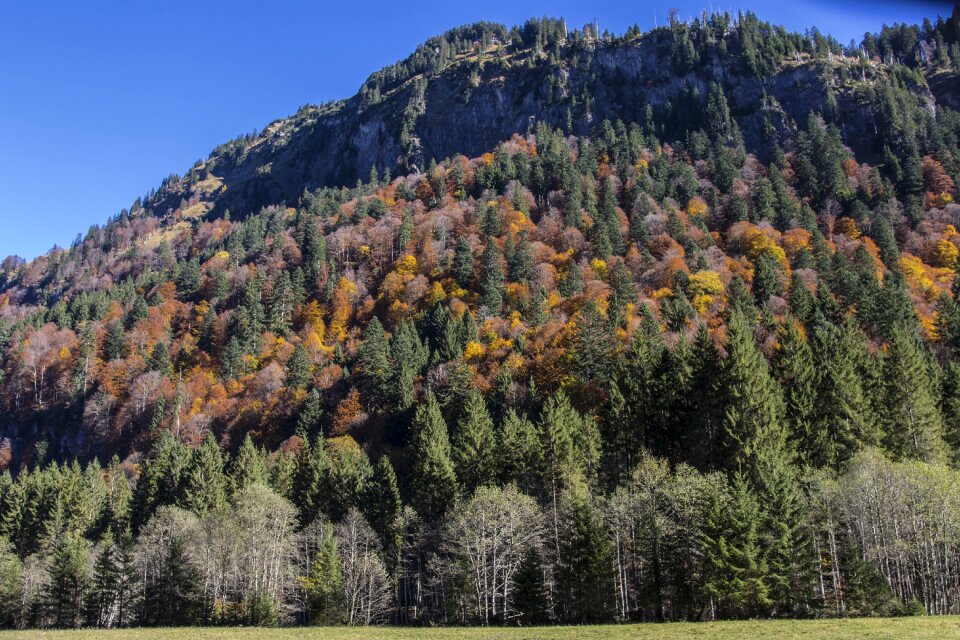 Allgäu alps mountains autumn colours