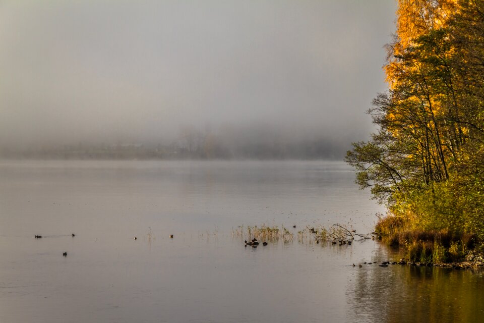 Autumn lake autumn colors