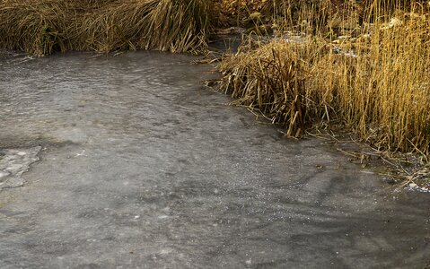 Frozen pond frost photo