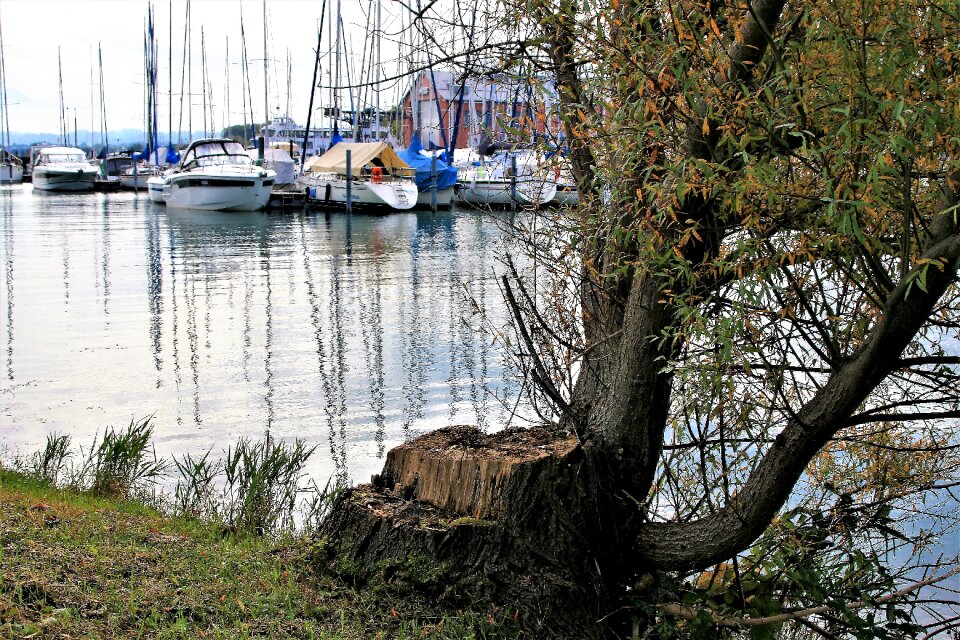 Autumn the mast cove