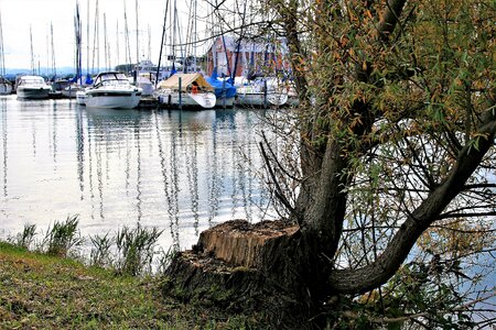 Autumn the mast cove