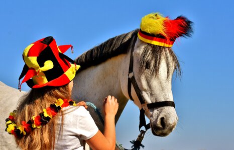 World cup 2018 football horse