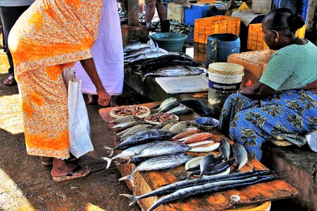Fish bazaar trade