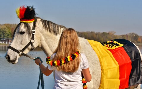 World cup 2018 football horse