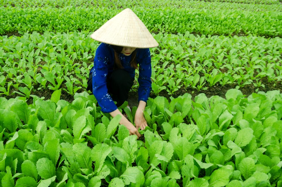 Natural field girl