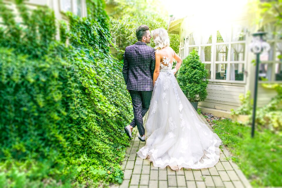 Trees plant wedding