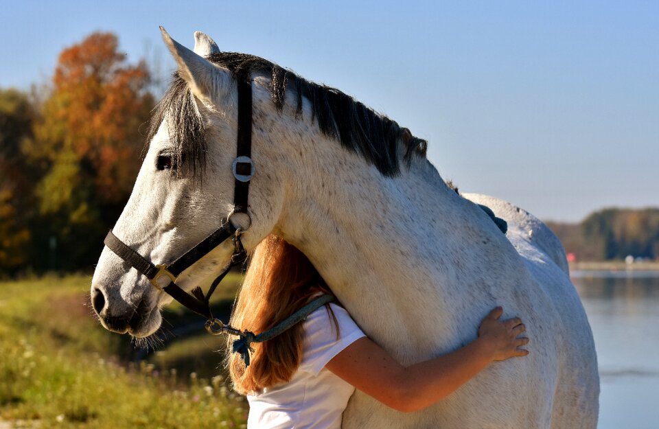 Love for animals a heart for animals friendship