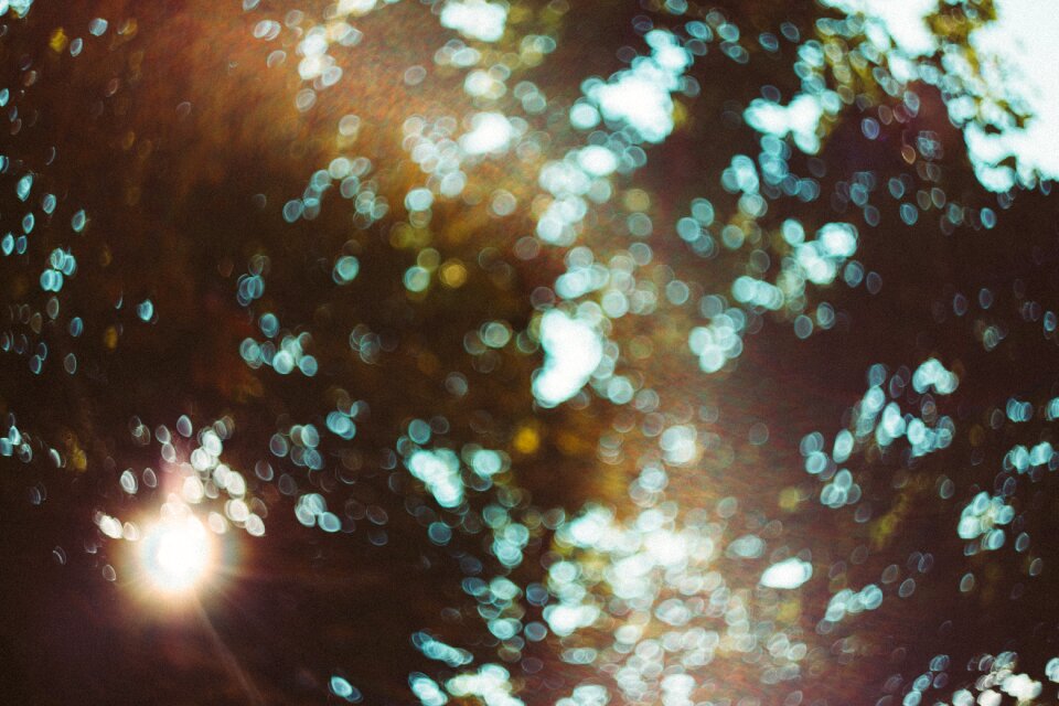 Beautiful blur blurred
