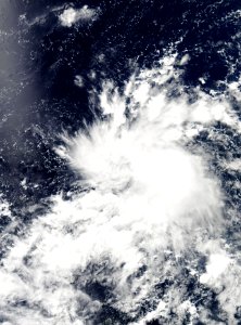 2011-05-31 TD 91W