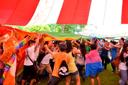 2014 Viet Pride Campaign (14802238926)