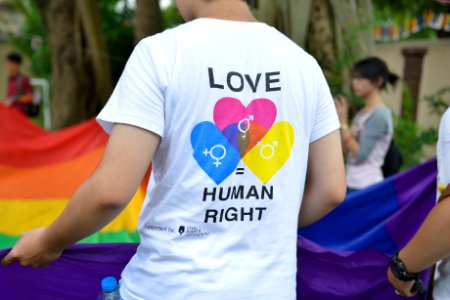 2014 Viet Pride Campaign (14825249425)