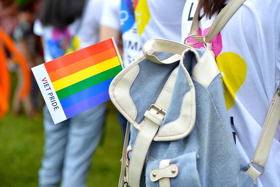 2014 Viet Pride Campaign (14638540190)