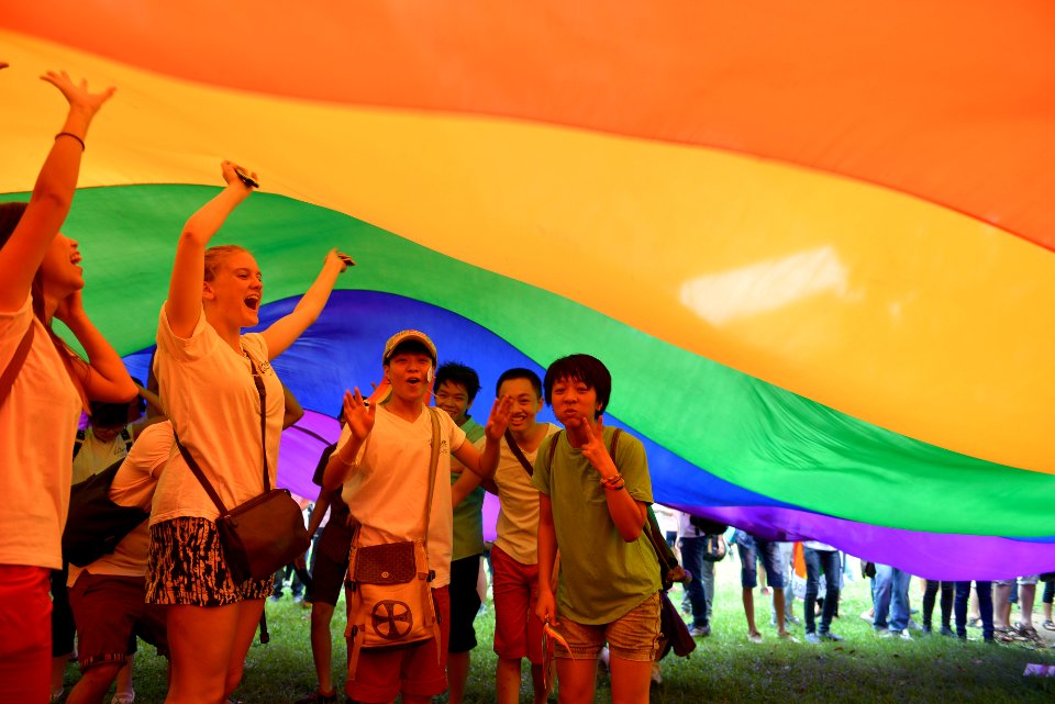 2014 Viet Pride Campaign (14638588129)