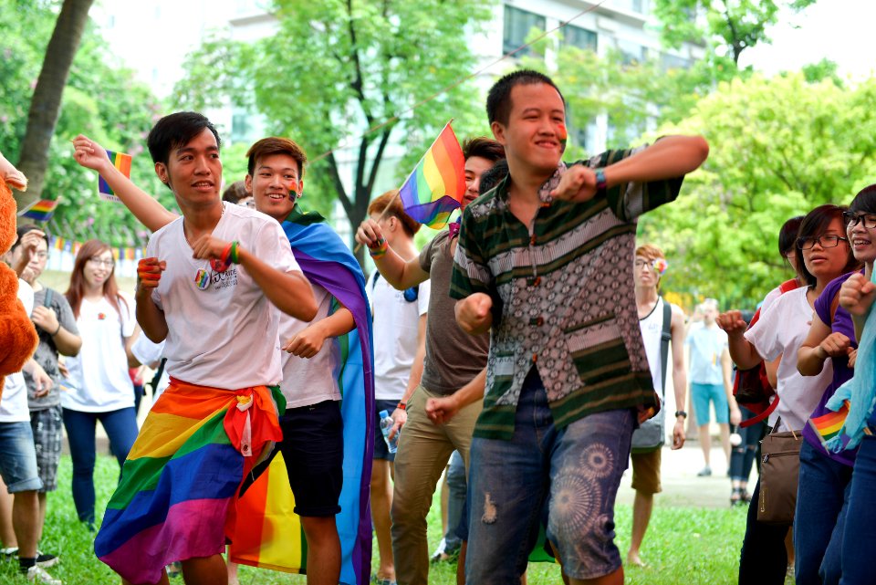 2014 Viet Pride Campaign (14802239426)
