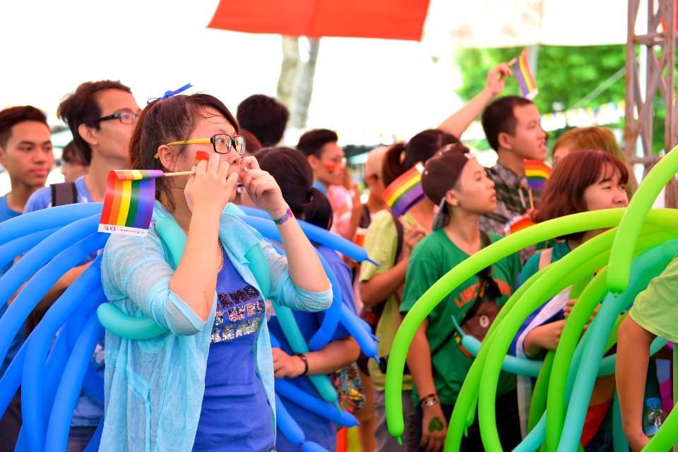 2014 Viet Pride Campaign (14824880852)