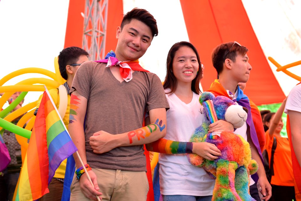 2014 Viet Pride Campaign (14845089283)