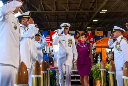 2015 PACOM and PACFLT Change of Command 150527-N-FK070-047