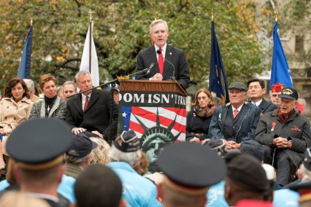 2015 Veteran's Day parade in New York City 151111-N-LV331-001