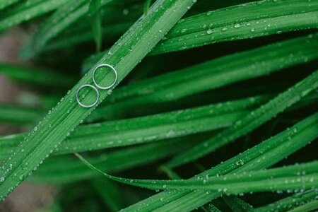 Nature water drop