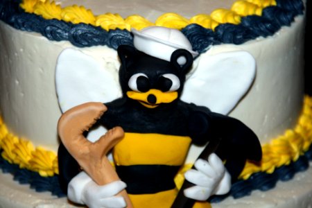 2016 Hampton Roads Seabee Ball (25069998014)