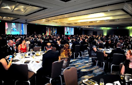 2016 Monterey Army Birthday Ball (27514549251)