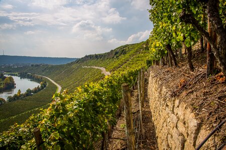 Rock neckar valley neckar