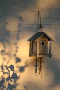 Shadow play bird feeder nesting box