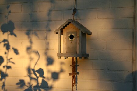 Shadow play bird feeder nesting box photo