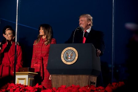 2017 National Christmas Tree Lighting (24895726498)