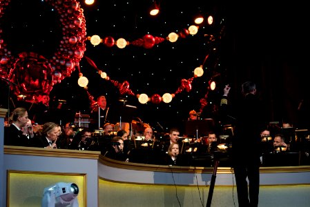 2017 National Christmas Tree Lighting (23904182437)