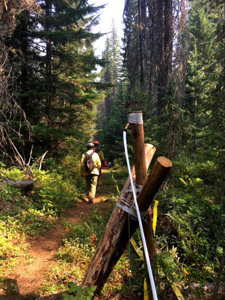 2017 North Fork Hughes Fire in the Salmo-Priest Wilderness (40748373632)