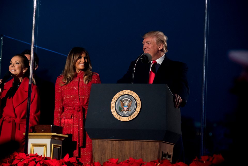 2017 National Christmas Tree Lighting (24895728718)