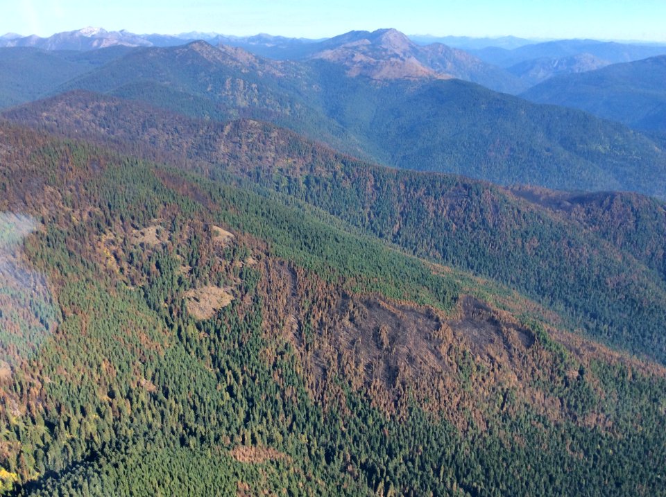 2017 North Fork Hughes Fire in the Salmo-Priest Wilderness (40748380372)