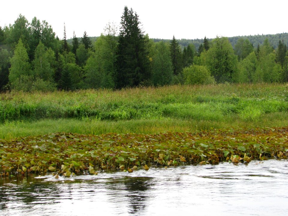 Open space dahl nature