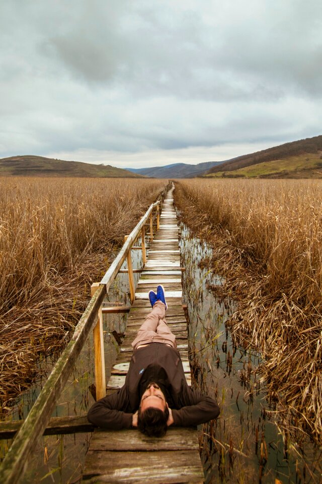 Grass agriculture plant