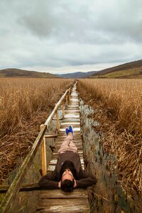 Grass agriculture plant photo