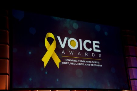 2017 SAMHSA VOICE AWARDS (24072955698)