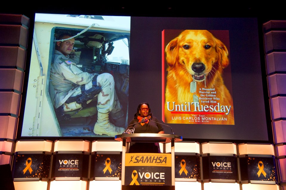 2017 SAMHSA VOICE AWARDS (26147897879)