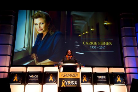 2017 SAMHSA VOICE AWARDS (26147895959)
