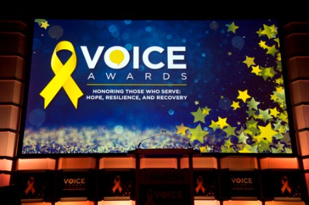 2017 SAMHSA VOICE AWARDS (37214288534) photo