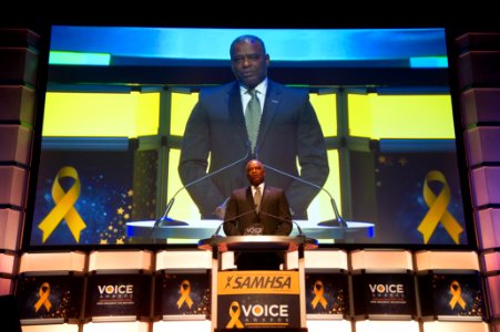 2017 SAMHSA VOICE AWARDS (26148076129)