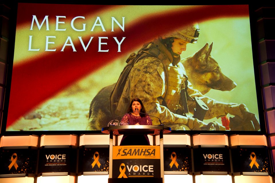 2017 SAMHSA VOICE AWARDS (37214278724)