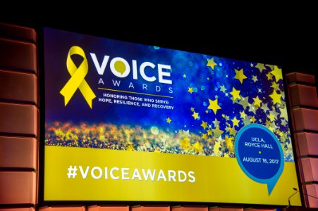 2017 SAMHSA VOICE AWARDS (37214290404)